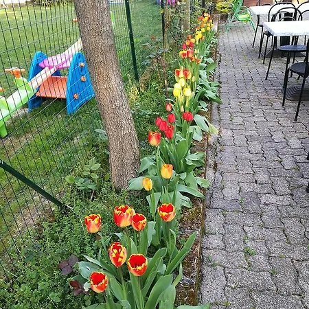 Vakantieboerderij 